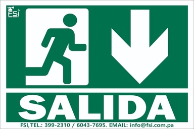 Señal Fotoluminiscente de Salida con Flecha hacia Abajo 6" x 10"